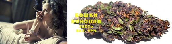 ECSTASY Белокуриха