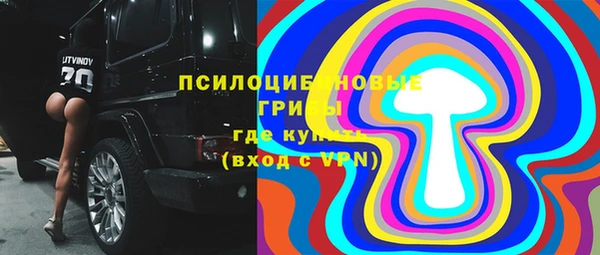 ECSTASY Белокуриха